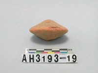 藏品(雙錐形陶紡輪)的圖片